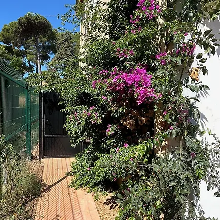 Les Lys 2 Apartmán La Seyne-sur-Mer